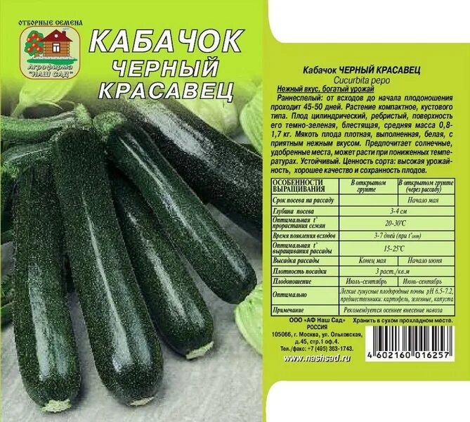 Семена Кабачок Зебра: описание сорта, фото - купить с доставкой или почтой Росси