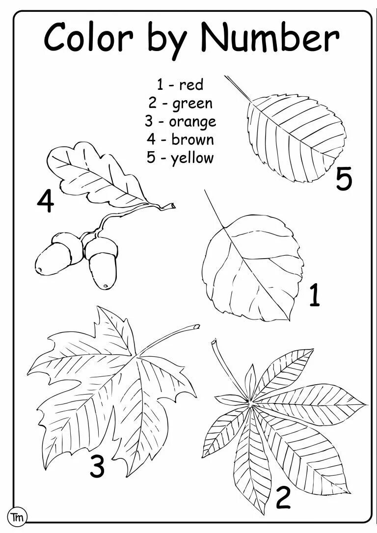 Leaves for school. Fall Worksheets. Autumn leaves Worksheets. Задание по теме осень на анг языке для детей 5 лет. Листочки на проект по английскому.