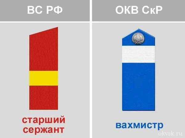 Вахмистр это какое звание сейчас. Погоны казачьего чина вахмистр. старший вахмистр погоны. казачьи погоны старшего вахмистра. звание вахмистр.