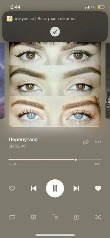 Serebro перепутала. Serebro перепутала. Серебро перепутала обложка. Песня я перепутала думала что. Serebro обложка.