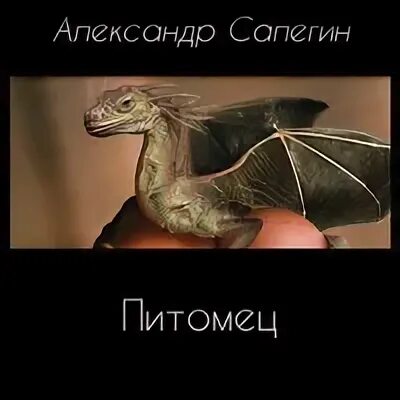 Читать книга питомец. Сапегин александр &quot;питомец&quot;. аудиокнига питомец. питомец александр сапегин книга. сапегин александр книги питомец 2.