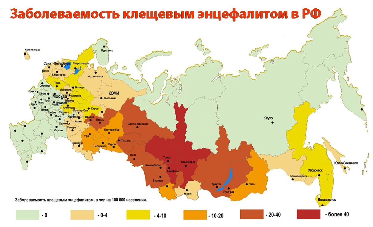 Чаще всего располагают по всему. Распространенность клещевого энцефалита в России. Карта распространения клещевого энцефалита в России. Карта заболеваемости клещевым энцефалитом в России. Очаги клещевого энцефалита в России.