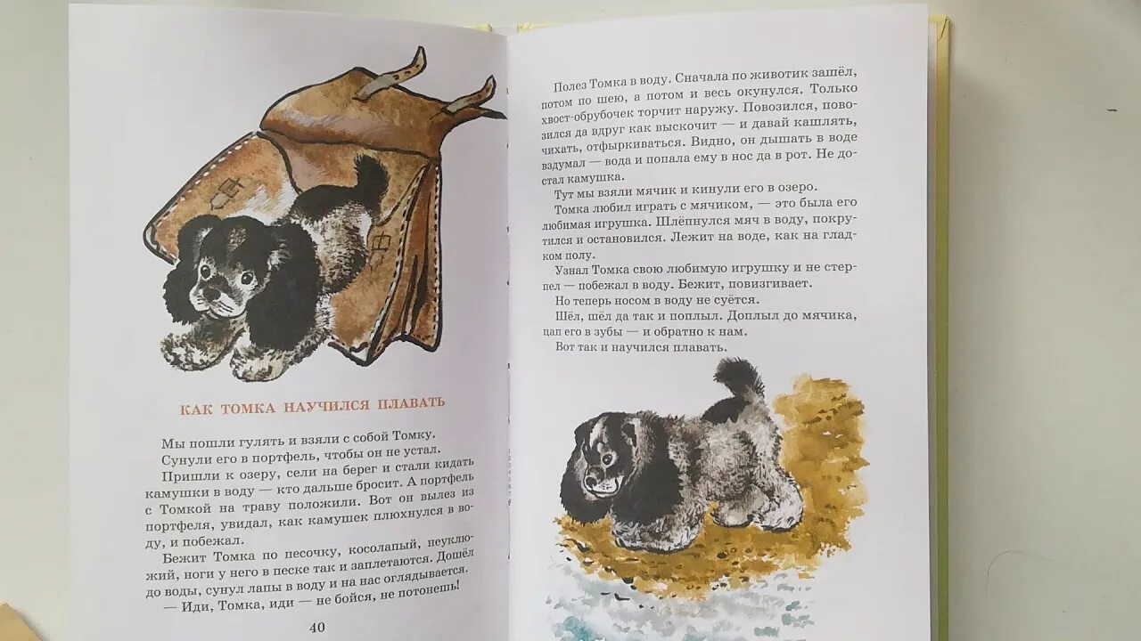 Как томка научился. Е чарушин как томка научился плавать. рассказ чарушина как томка научился плавать. чарушин томкины сны.