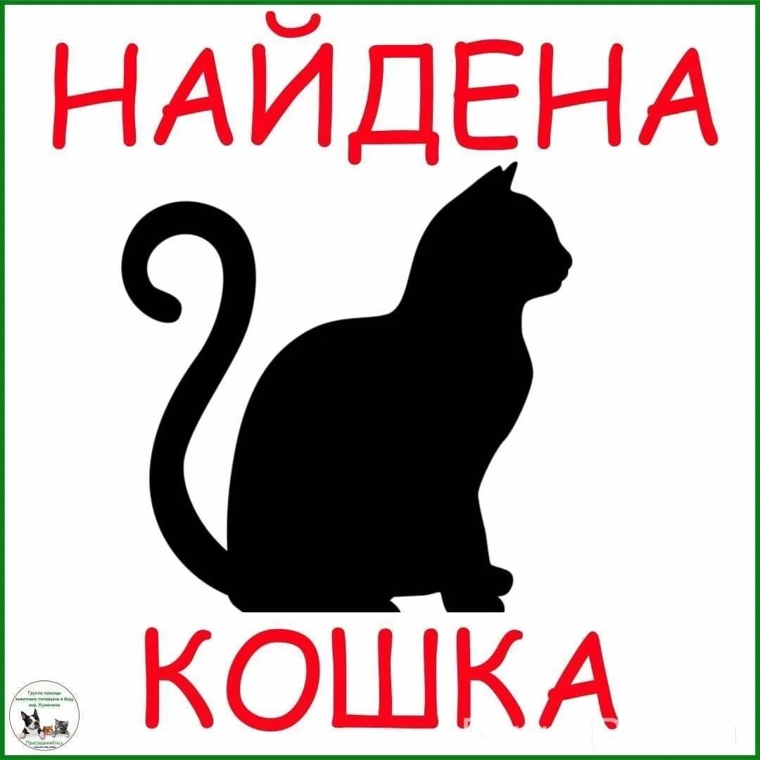 Помощь бездомным животным хочу домой