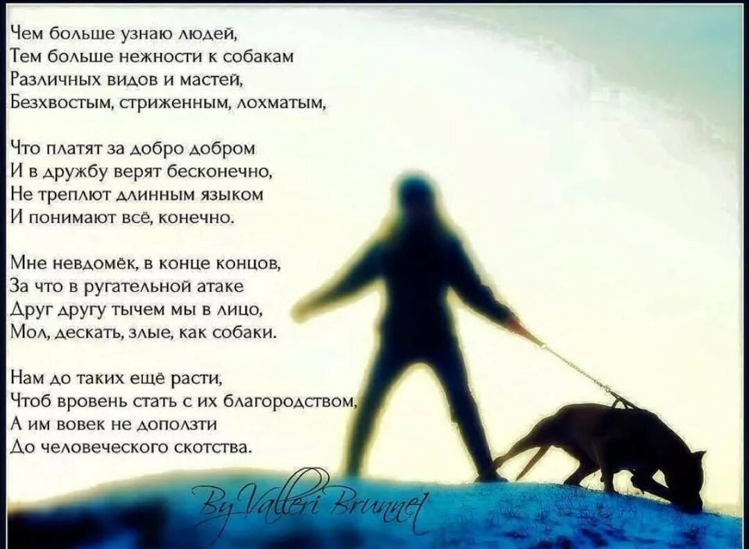 Человеку знать не дано текст. Стих чем больше узнаю людей тем больше нравятся собаки. Чем больше узнаю людей тем больше нравятся собаки. Чем больше узнаю людей. Тем больше нравятся собаки.