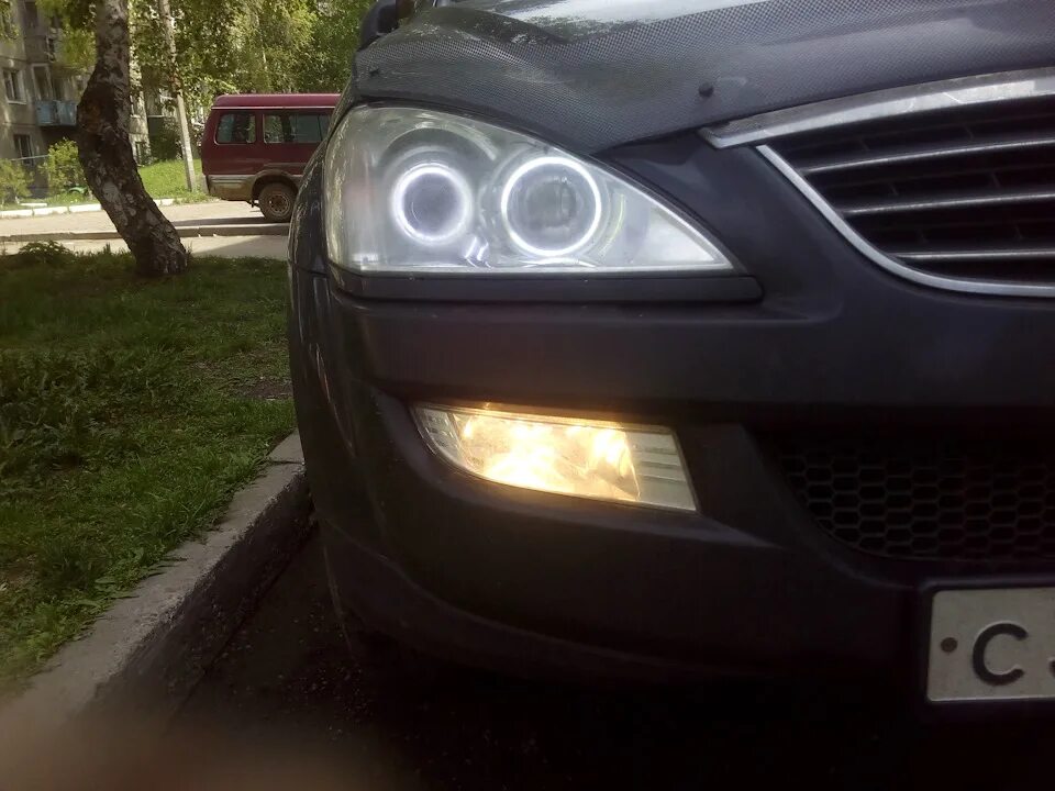 Лампочки фар кайрон. Ssangyong kyron лампа дальнего света. Лампа ближнего света кайрон 2012. Ssangyong kyron 2012 лампы ближнего света. Лампочки фар кайрон.