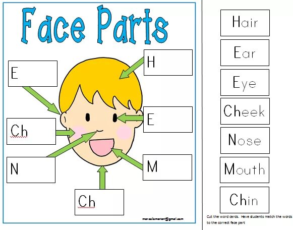 Face для детей на английском. My face задания для детей. Face and body английский для детей. Body Parts задания. In this part of your