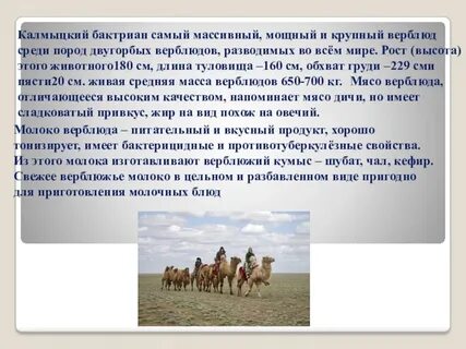 3 калмыкия