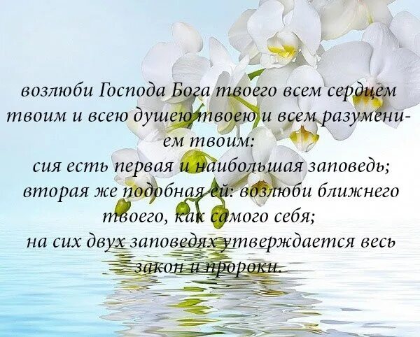 Возлюби Господа Бога твоего всем. Заповедь Возлюби Господа Бога твоего всем сердцем. Заповеди Возлюби Бога твоего ….. Возлюби ближнего. Матфея 22 37.