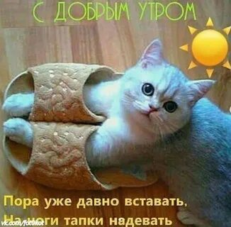 Впервые встал