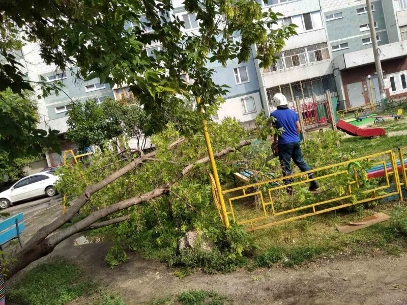 Детские площадки происшествие. Дерево обрушилось на детскую площадку. Детская площадка развалилась. Детская площадка Ульяновск.