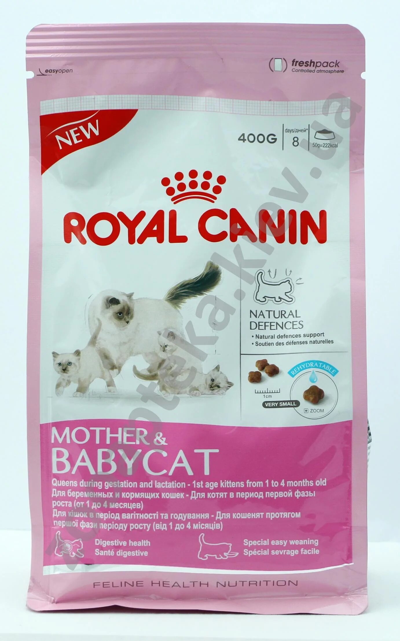 Корм для шотландских котят. Royal Canin корм для котят шотландских. Роял Канин для шотландских. Корм Роял Канин для шотландских кошек. Роял Канин для вислоухих кошек.