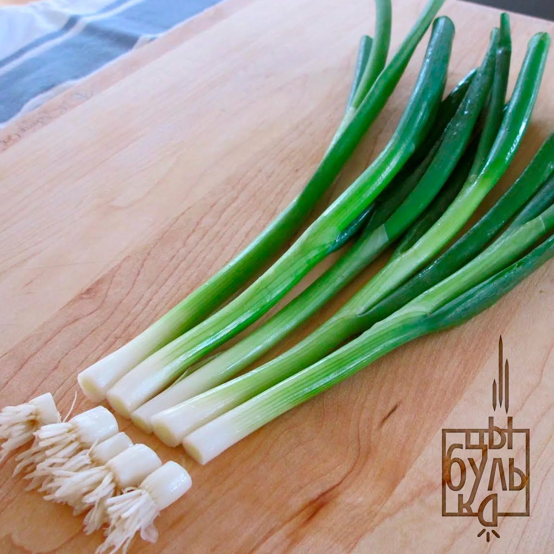 Зеленый лук батун. Лук батун шалот. Зеленый лук батун. Зеленый лук пучок. Лук батун лонг токио.