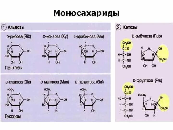 Моносахариды кетозы. Моносахариды альдозы и кетозы. Классификация моносахаридов альдозы и кетозы. Альдоза гексоза. Глюкоза галактоза рибоза