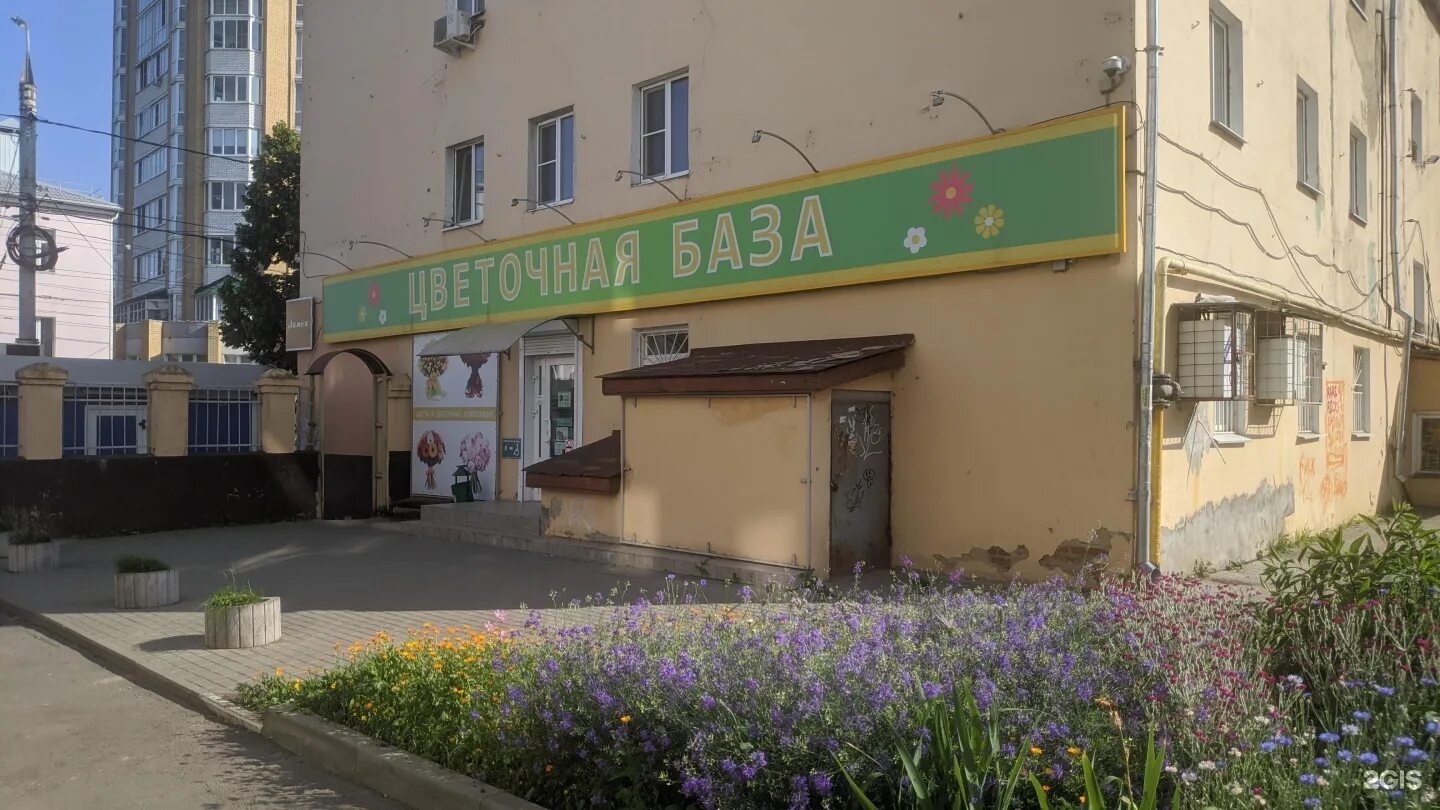 Цветочный базар орел. Рижский рынок сухоцветы. Цветы мачелюк москва. Цветочный базар тюмень аккумуляторная. Сады от мачелюка.