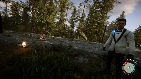 Sons of the forest по сети