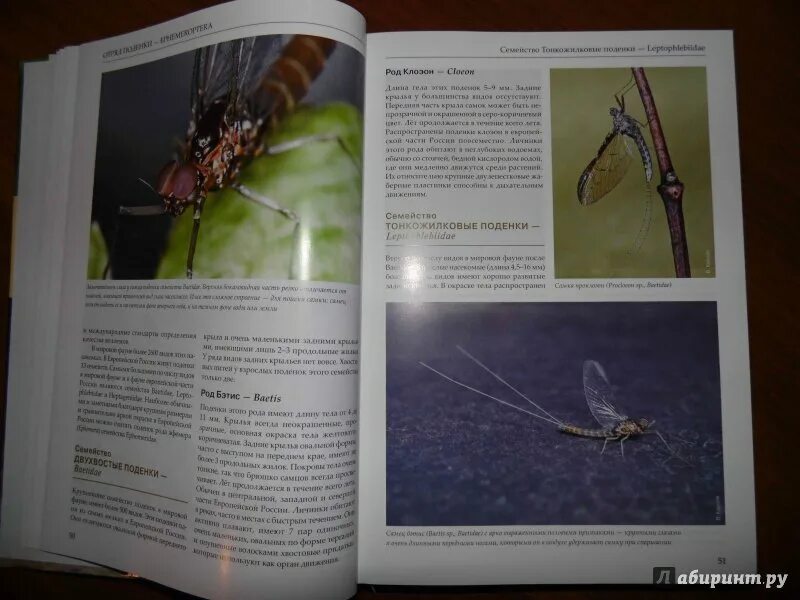Тесты по биологии по насекомым