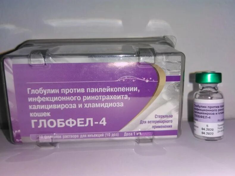 Российская вакцина для кошек. Глобфел-4 для кошек. Вакцина Глобфел. Глобфел 4 вакцина для кошек. Глобфел-4 сыворотка для кошек.