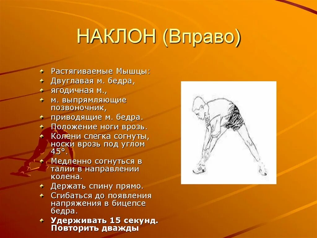 Наклонены вправо