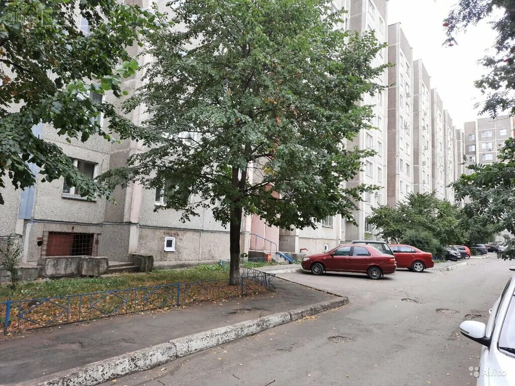 Авито воронеж хользунова. Авито воронеж хользунова. Хользунова 60б. Хользунова 2 воронеж. Хользунова 13.