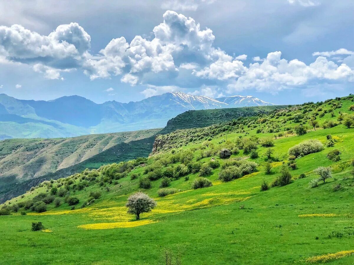 Природа армении. Карабах природа арарат. горы армении. армения природа горы. ландшафт армении.