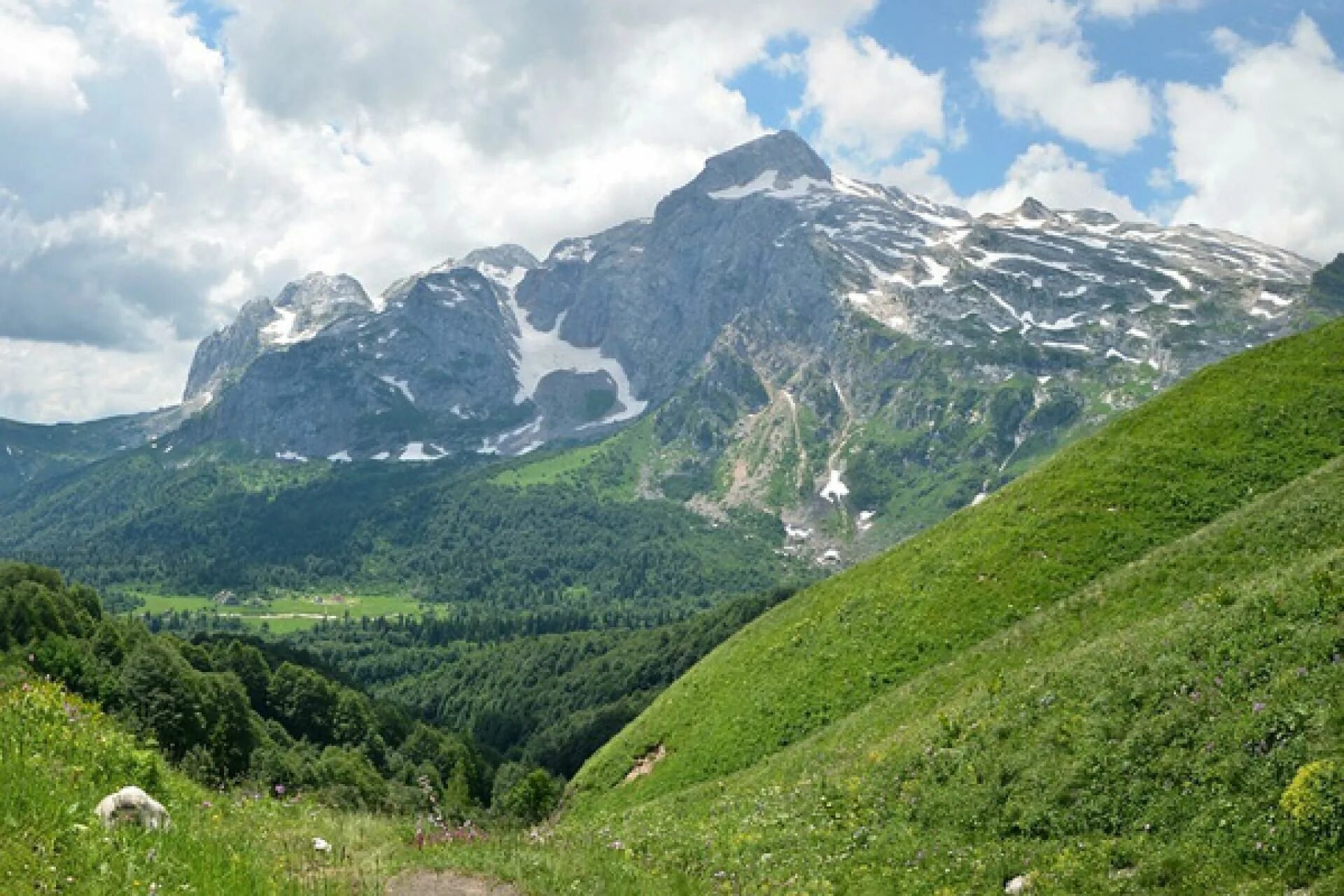 3 горы сочи. Горный массив псеашхо. 3 горы сочи. 3 горы сочи. Кавказский заповедник гора ачишхо.