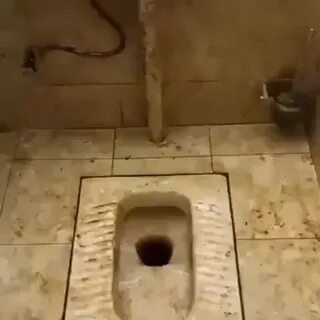 Toilet hole