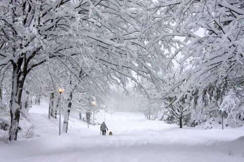This is winter