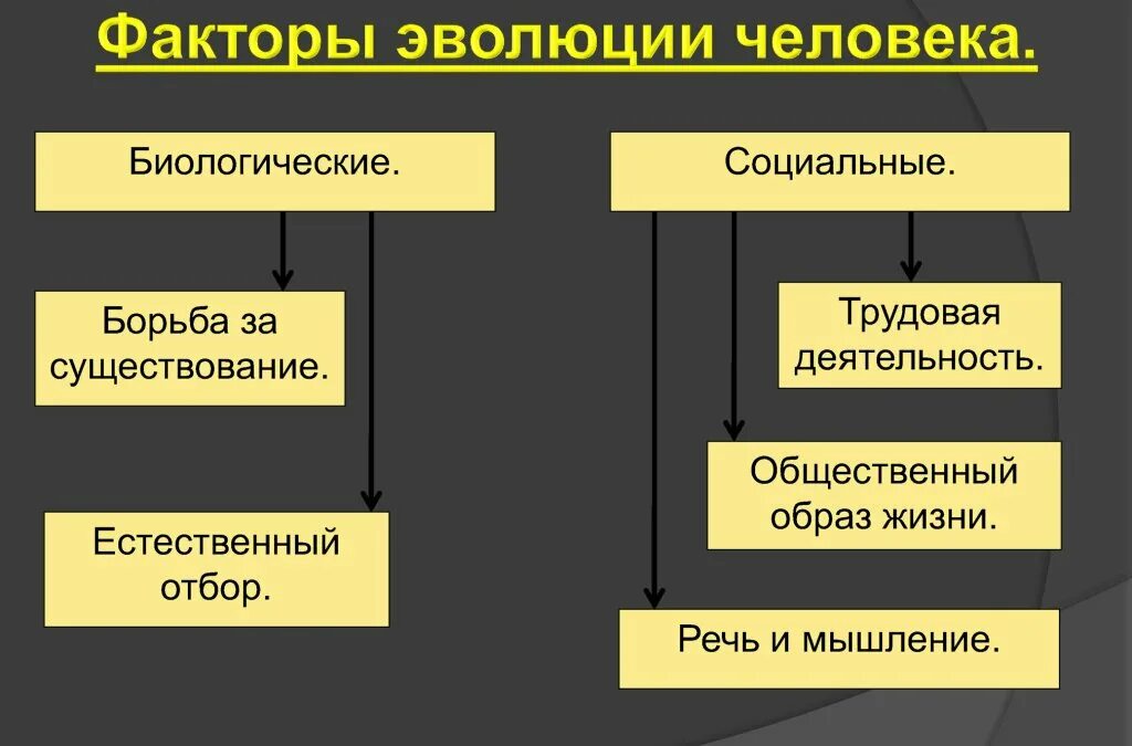 Социальные факторы эволюции сыграли решающую. Факторы эволюции человека. Биологические факторы эволюции человека. Социальные факторы эволюции человека. Биологические и социальные факторы эволюции.