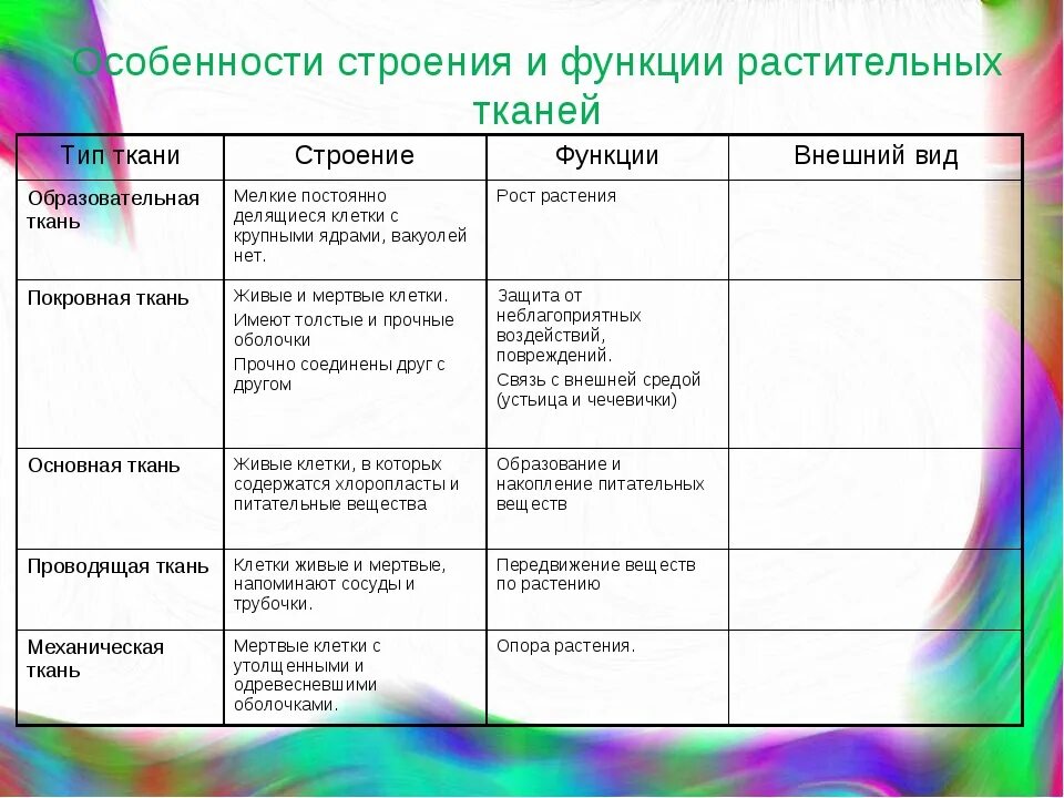 Ткани название строение функции. Ткани растений таблица функции местоположение строение. Таблица ткани растений строение функции где находятся. Таблица Тип ткани особенности строения функции. Ткани растений строение и функции таблица.