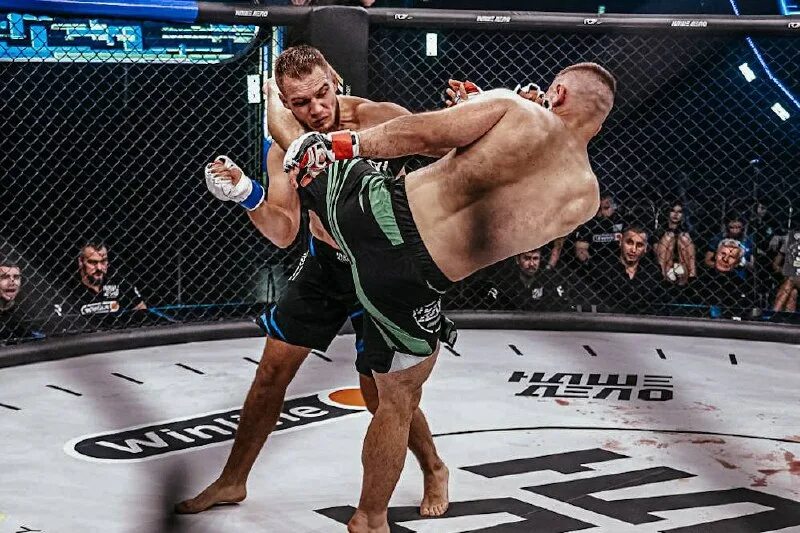 Мурад халидов боец. Халидов мурад халидшахович. Мурад халидов боец. Мурад халидов боец. Боксер халидов.