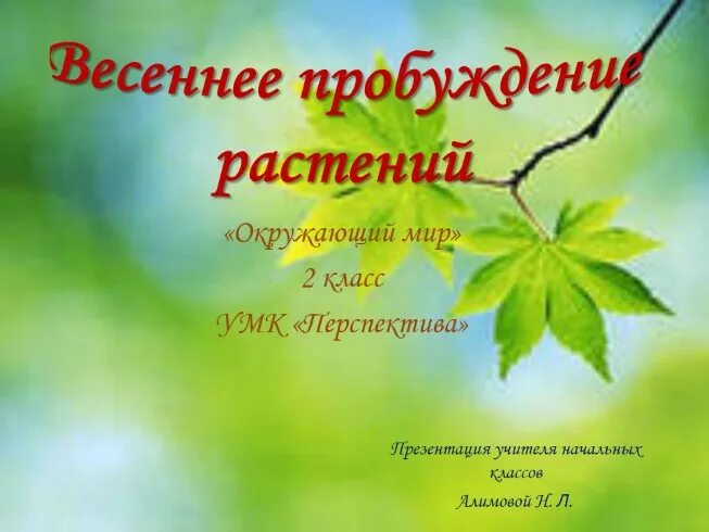 Весеннее Пробуждение растений окружающий мир. Весеннее Пробуждение растений 2 класс окружающий мир. Весеннее Пробуждение растений презентация. Весеннее Пробуждение растений 2 класс окружающий мир презентация. Окружающий мир 2 класс весеннее пробуждение