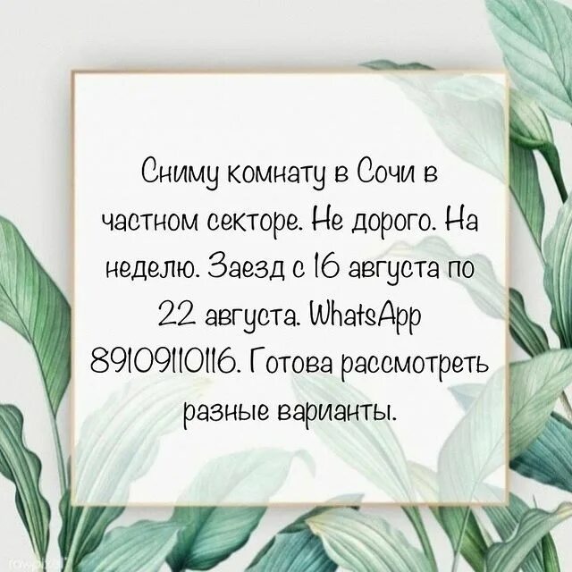 Подслушано сочи