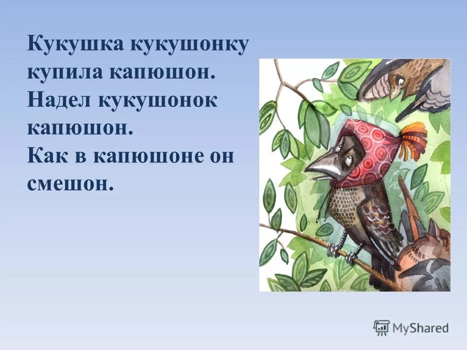 скороговорка про кукушонка. кукушка кукушка купила капюшон. кукушка кукушонку купила капюшон. кукушонок в капюшончике. кукушка капюшон кукушонок скороговорка.