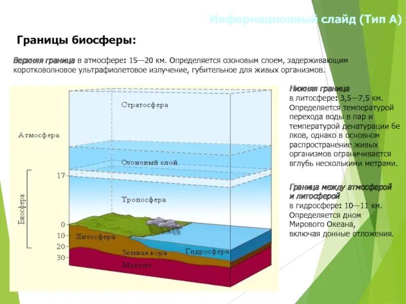 Какие факторы ограничивают жизнь в литосфере. Нижняя граница биосферы. границы биосферы атмосфера гидросфера литосфера. границы биосферы в литосфере. верхняя граница биосферы.