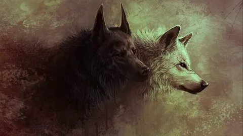 X wolf