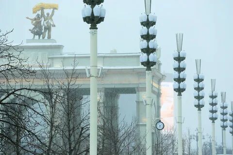 Вднх отменили