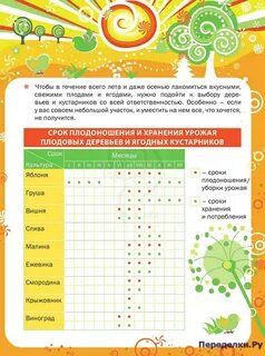 Дневник огородника