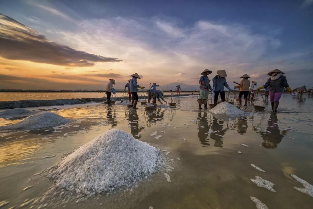 Добыча соли в ручную. Добыча садочной соли. Добыча соли из морской воды. Как получают морскую соль. Бассейный способ добычи соли.