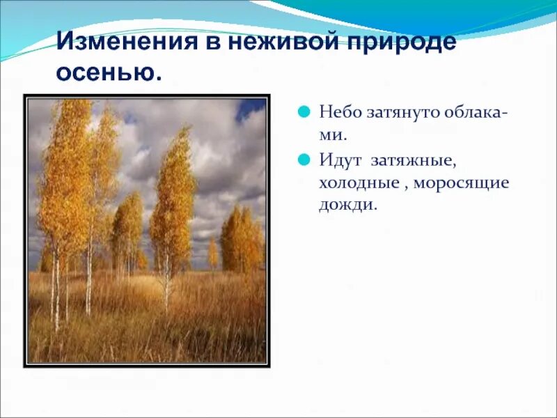 Изменения в неживой природе летом биология 5. Осенние изменения в неживой природе 2 класс окружающий мир. Сезонные изменения в природе осень. Осенние явления в живой природе. Изменения в живой природе осенью.