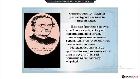 Эротикалық чат dsh