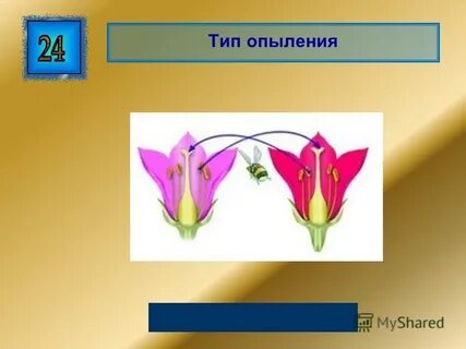 Суть опыления