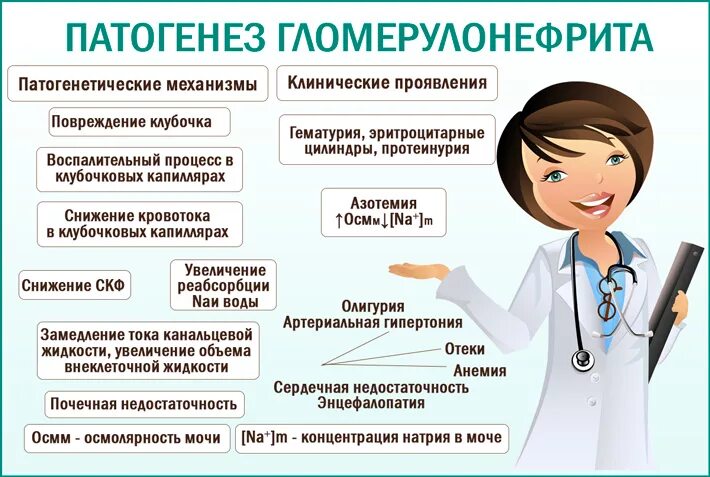 Пиелонефрит причины меры профилактики. Хронический гломерулонефрит этиология. Патогенез гломерулонефрита. Гломерулонефритмпатогенез. Гломерулонефрит этиология.