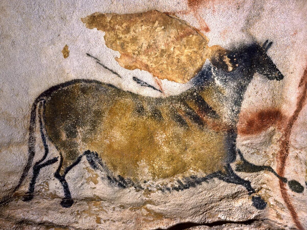 Росписи. Пещеры альтамира и ласко. Изображение пещеры ласко. Изображение пещеры ласко. Первобытное искусство пещера ласко.