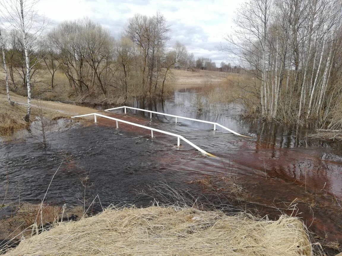 Уровень воды смоленск сож. Река СОЖ Хиславичи. Коломна затопило мост. Хиславичи мост. Мост через реку.