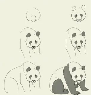B8 9 pandas