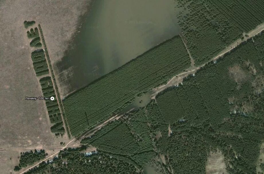 Ленину 100 лет из деревьев курганская область. Значок 100 лет ленину. Ленин 100 лет. Лес ленину 100 лет. Ленину 100 лет курганская область.