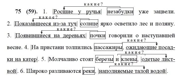 Русский язык 7 класс упражнение 443. Что такое причастный оборот в русском языке 7 класс. Упражнения с причастным оборотом. Русский язык 7 класс ладыженская причастный оборот. Упражнения по русскому языку с причастными.