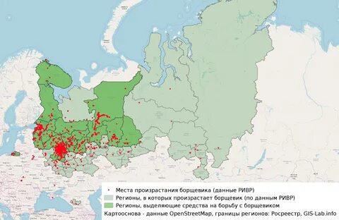 Карта борщевика сосновского