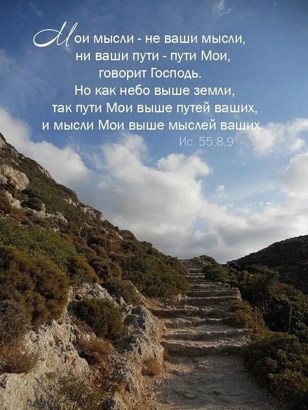 Читать высокий путь